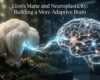 Lions Mane Mushroom Benefits for Brain