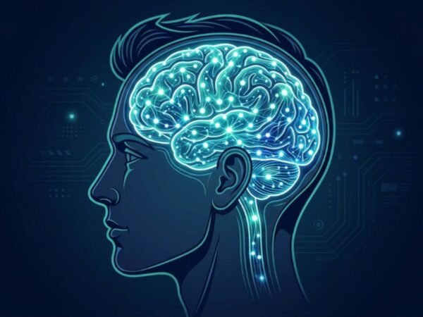 Neuroplasticity in Adults: Can You Really Rewire Your Brain After 30?