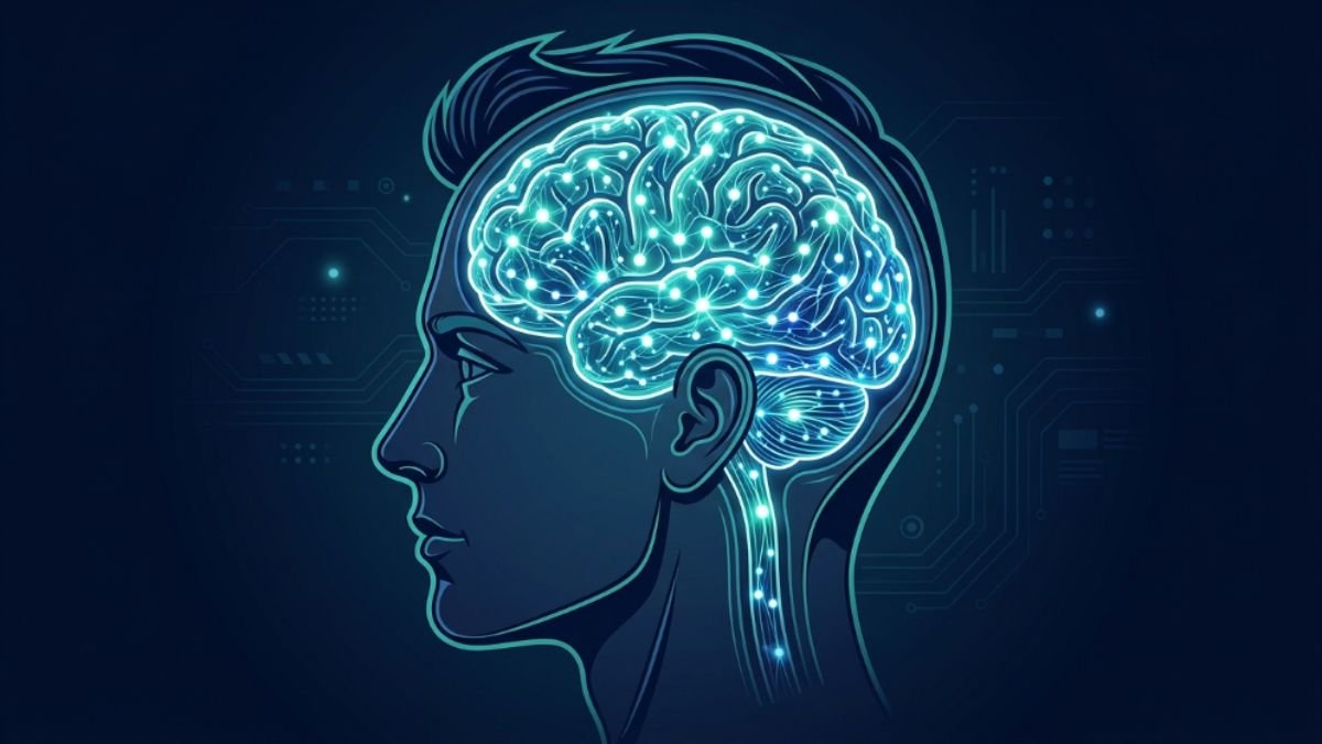 Neuroplasticity in Adults: Can You Really Rewire Your Brain After 30? 1 Neuroplasticity in Adults: Can You Really Rewire Your Brain After 30?