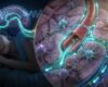 How Deep Sleep Cleans Your Brain — The Glymphatic System